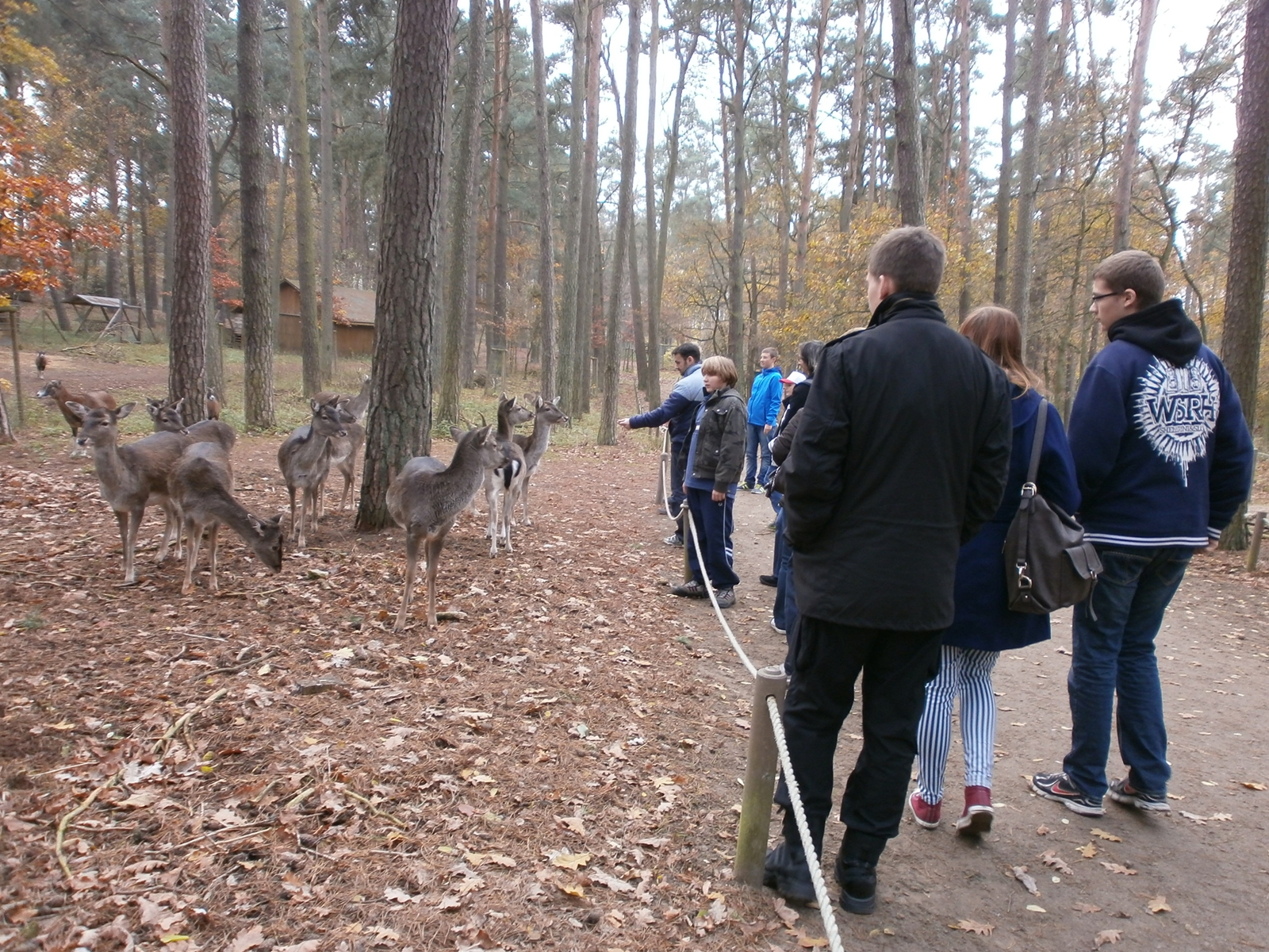 Vorschau